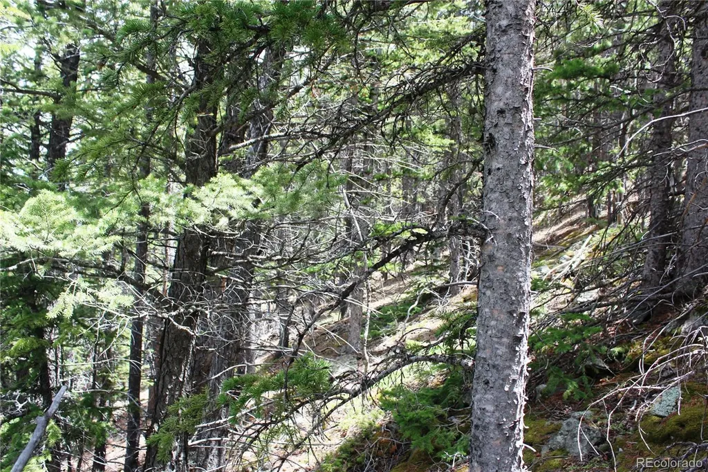 16564A Pennsylvania Idaho Springs CO 80461
