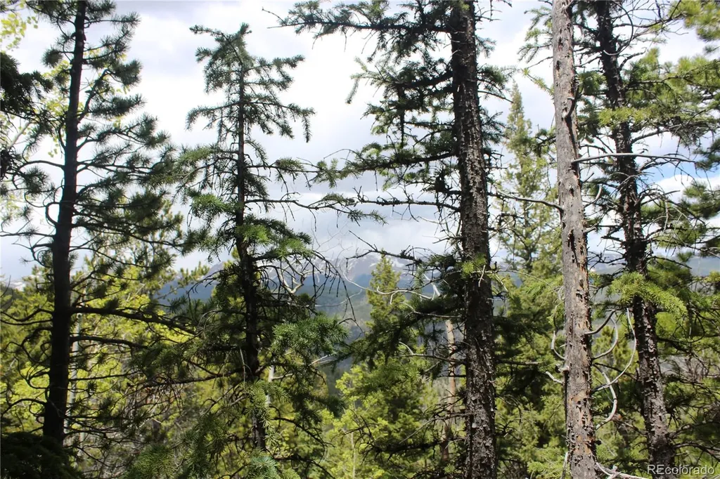 16564A Pennsylvania Idaho Springs CO 80461