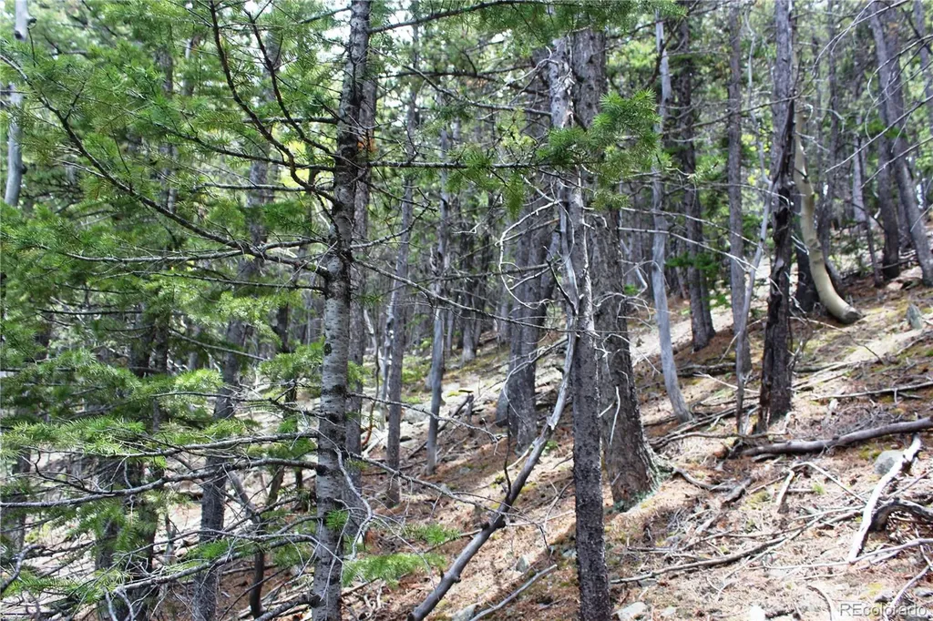 16564A Pennsylvania Idaho Springs CO 80461