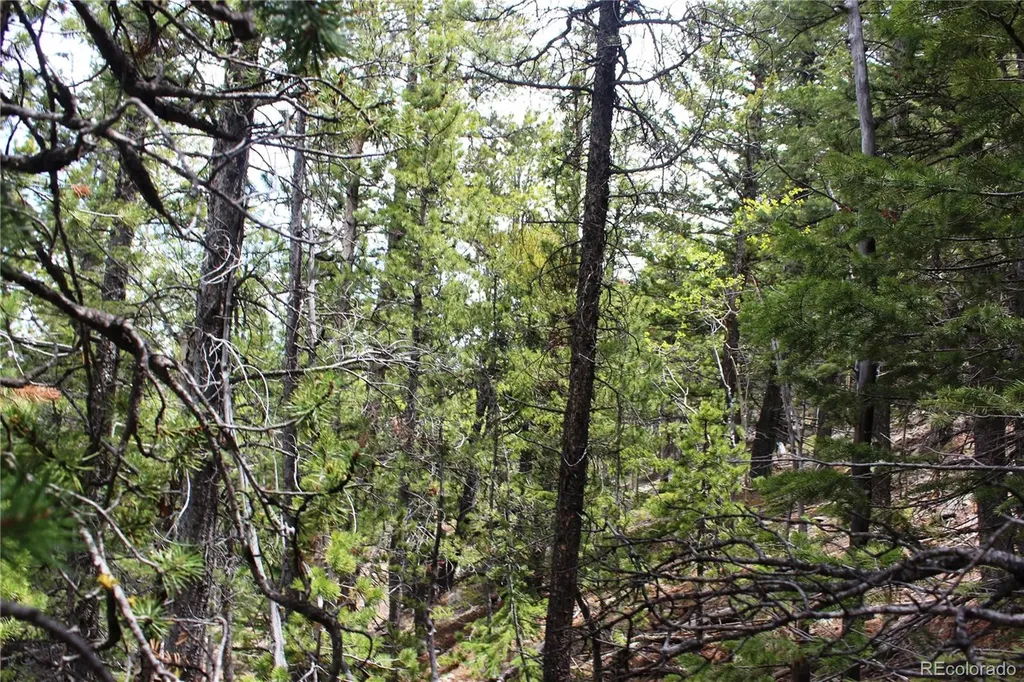 16564A Pennsylvania Idaho Springs CO 80461