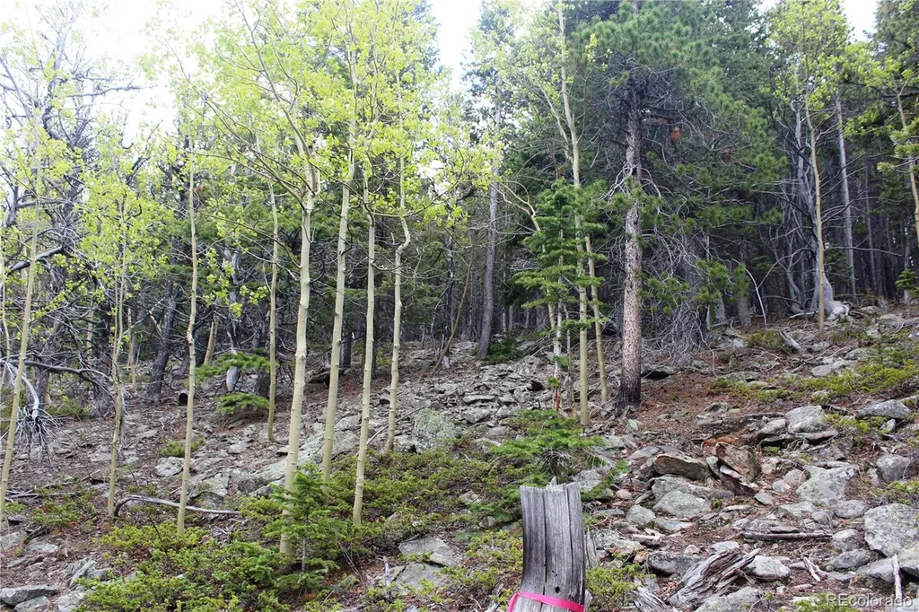 16564A Pennsylvania Idaho Springs CO 80461