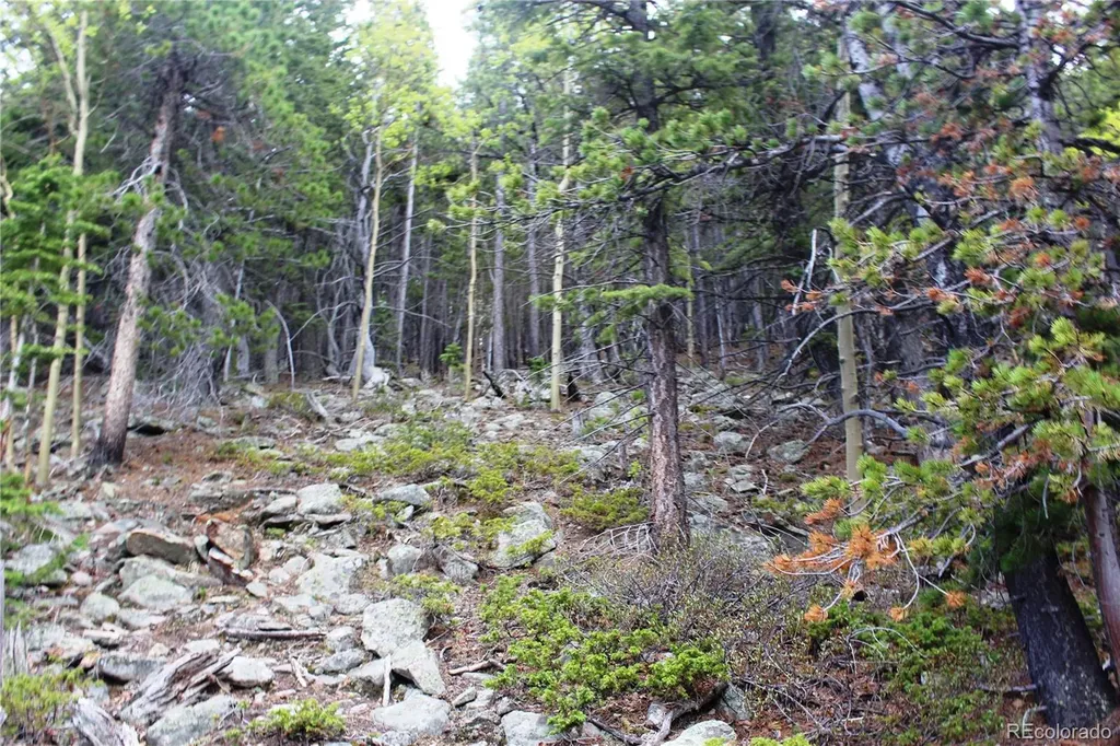 16564A Pennsylvania Idaho Springs CO 80461