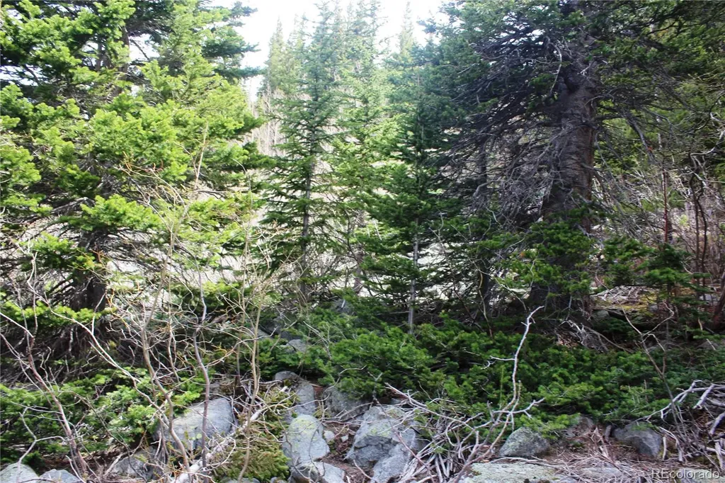 16564A Pennsylvania Idaho Springs CO 80461