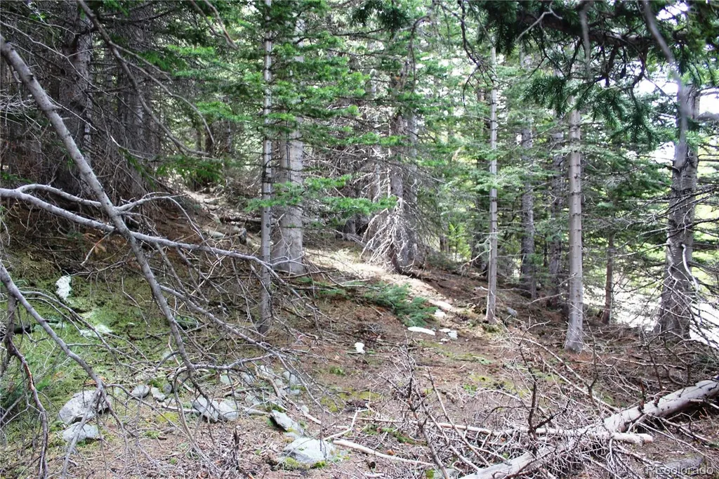 16564A Pennsylvania Idaho Springs CO 80461