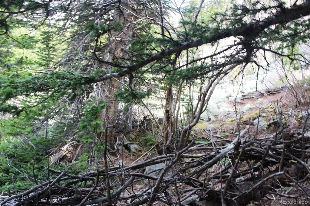 16564A Pennsylvania Idaho Springs CO 80461