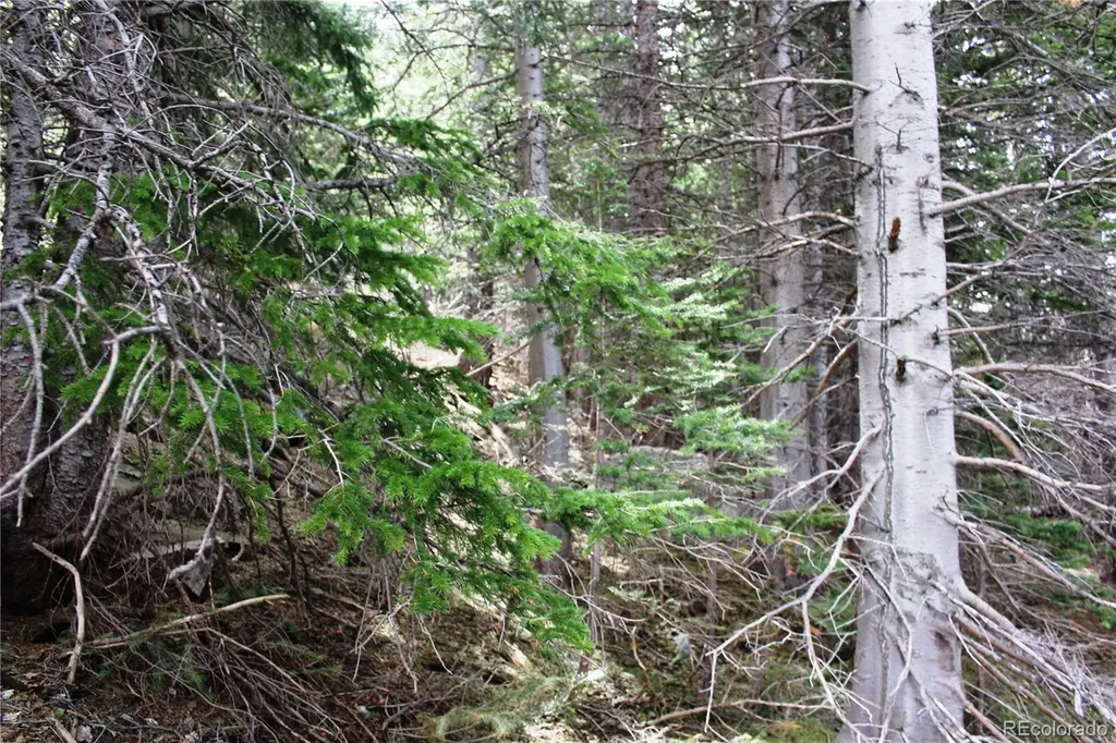 16564A Pennsylvania Idaho Springs CO 80461