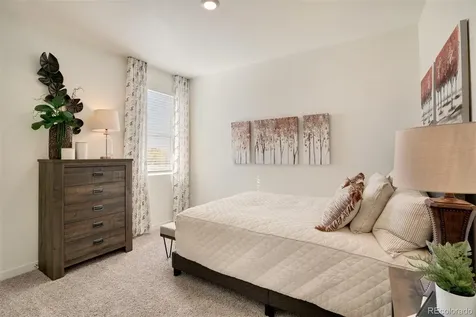 5621 Horro Street Windsor CO 80528