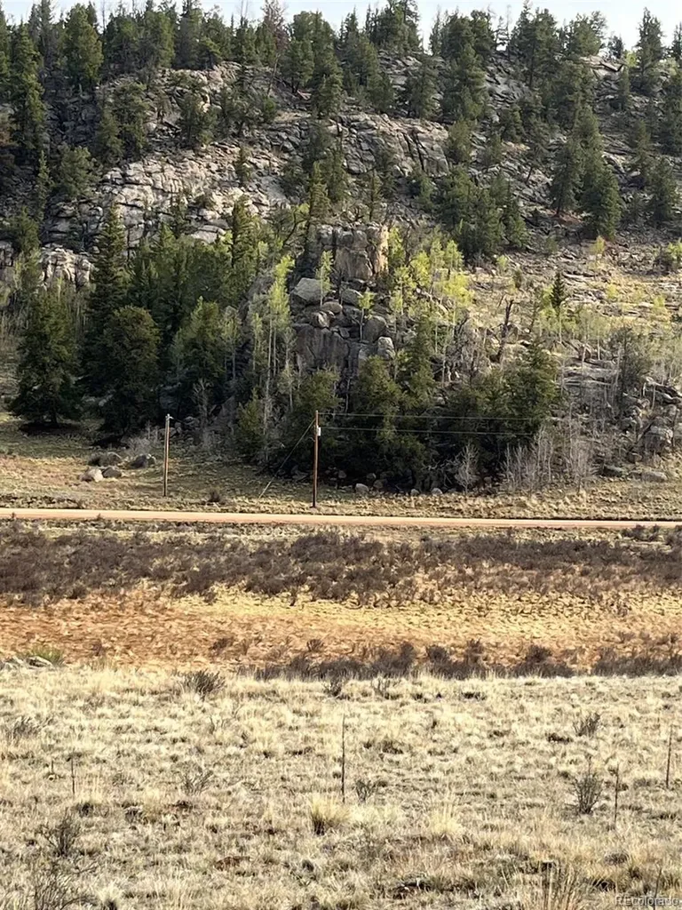 1441 Longbow Drive Como CO 80432
