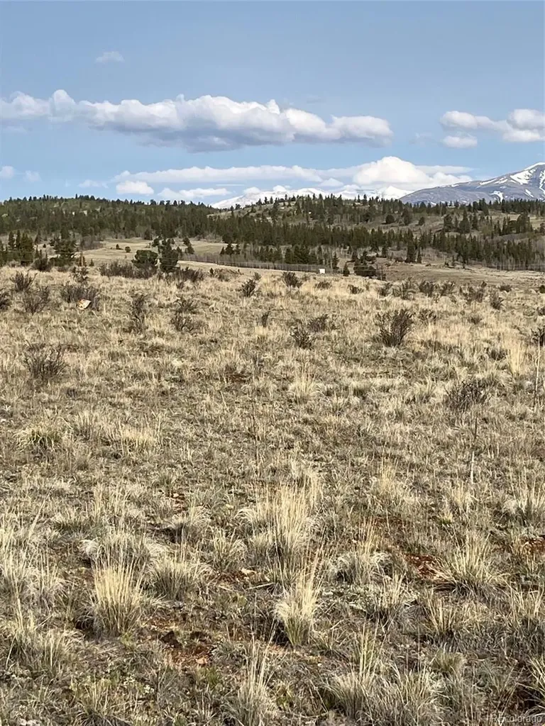 1441 Longbow Drive Como CO 80432
