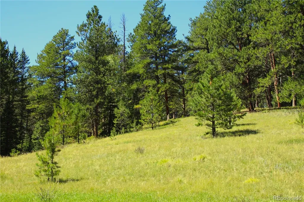 6500 Cr 5 Divide CO 80814