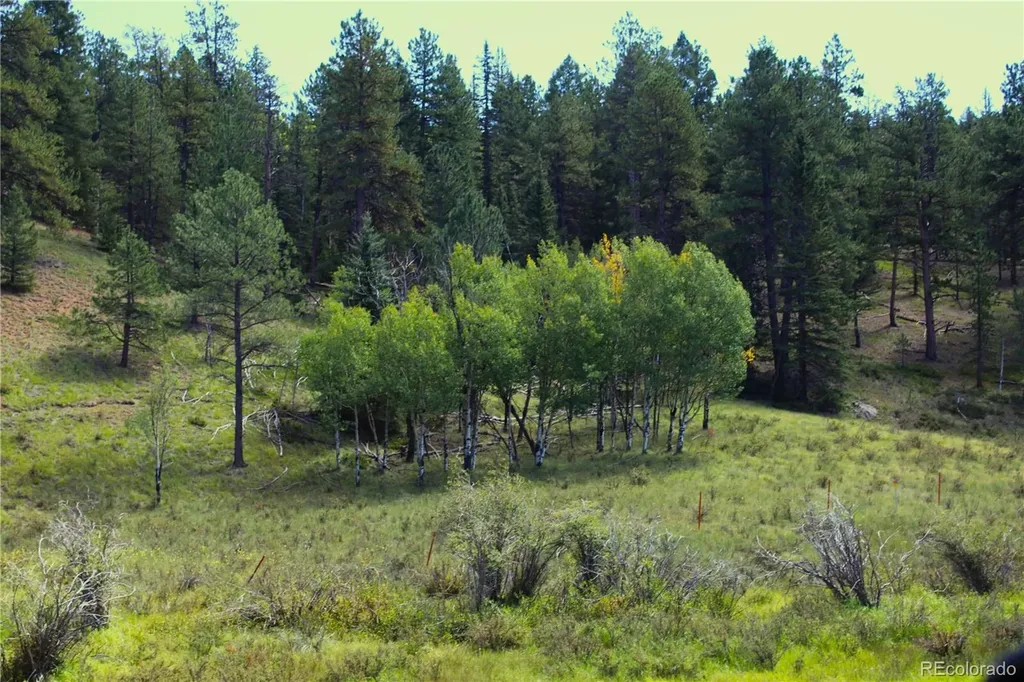 6500 Cr 5 Divide CO 80814