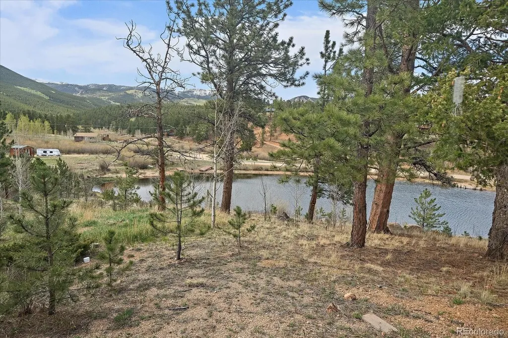 92 Prospectors Way Bailey CO 80421