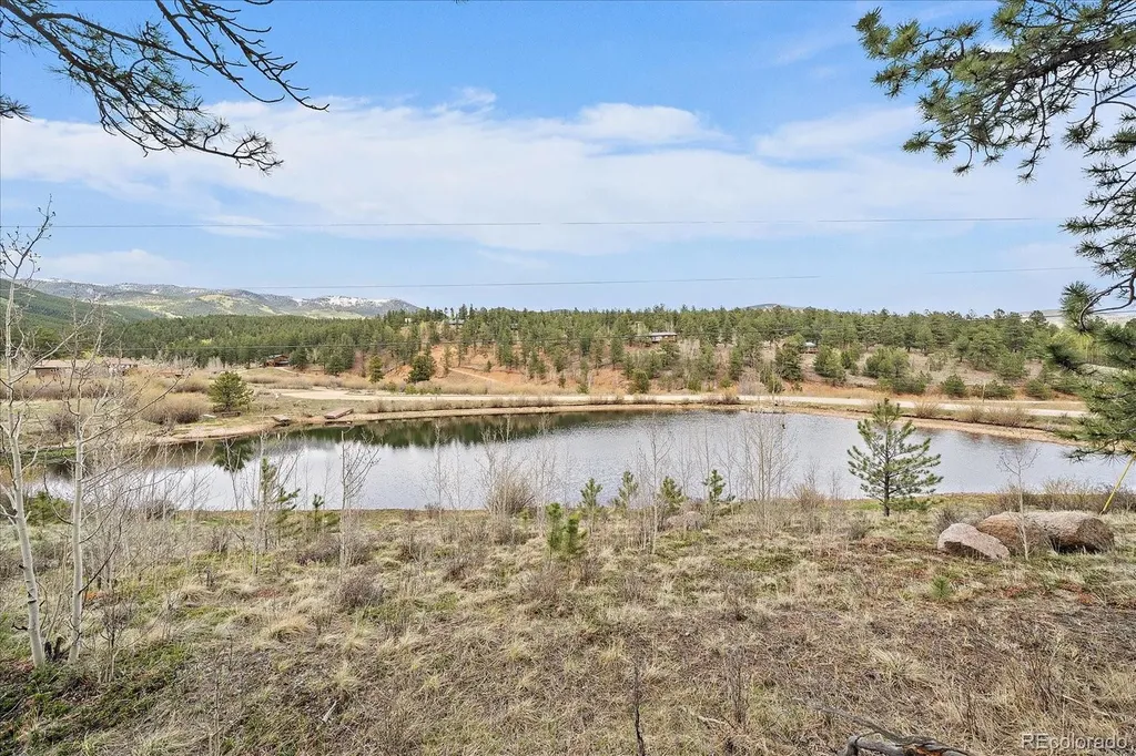 92 Prospectors Way Bailey CO 80421