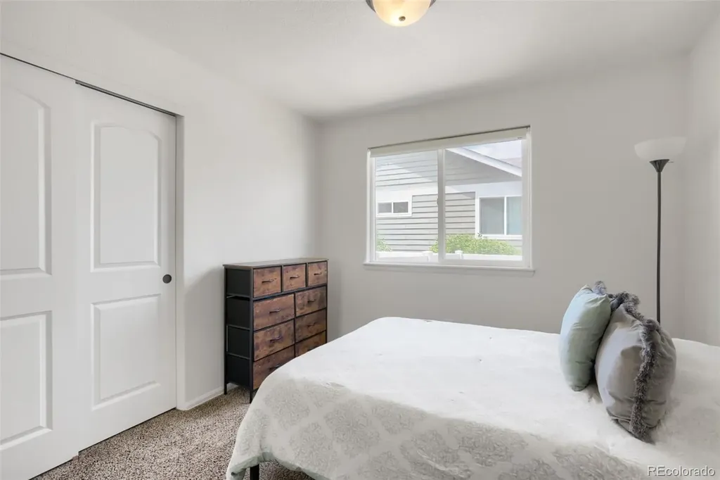 331 Torreys Drive Windsor CO 80550
