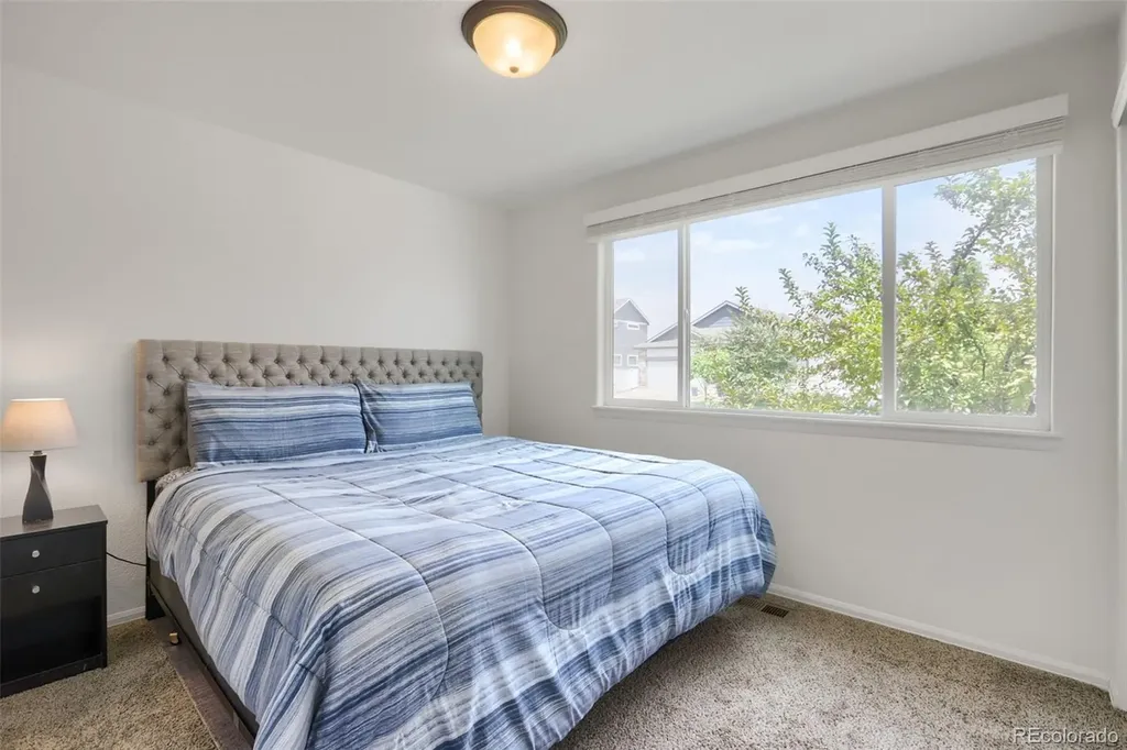 331 Torreys Drive Windsor CO 80550