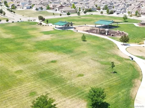331 Torreys Drive Windsor CO 80550