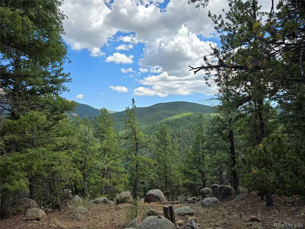 222 Blue Spruce Road Divide CO 80814
