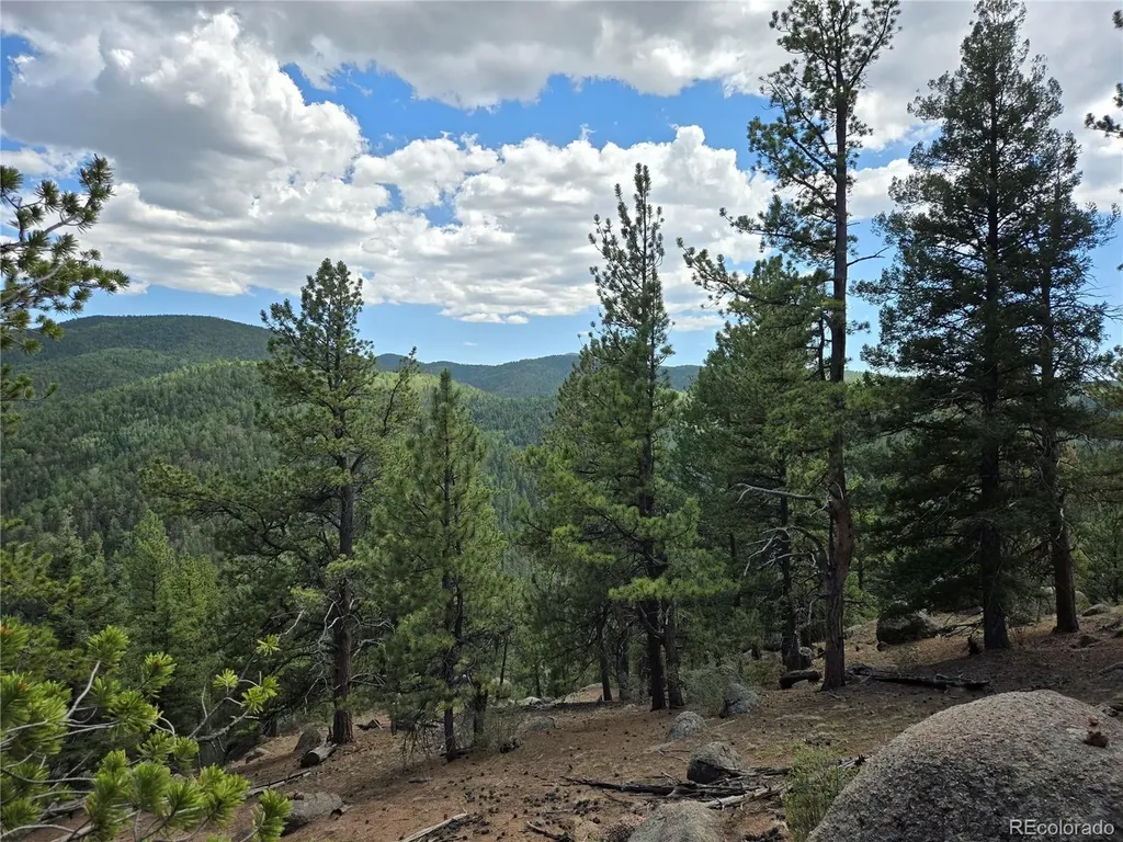 222 Blue Spruce Road Divide CO 80814
