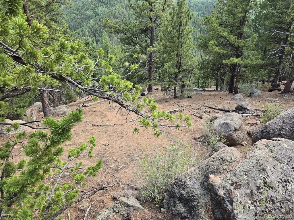 222 Blue Spruce Road Divide CO 80814