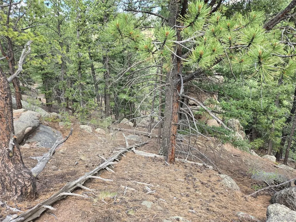 222 Blue Spruce Road Divide CO 80814