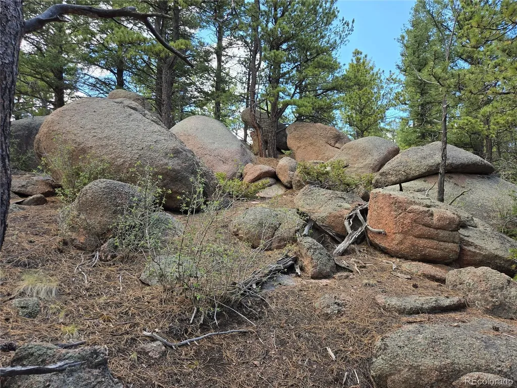 222 Blue Spruce Road Divide CO 80814