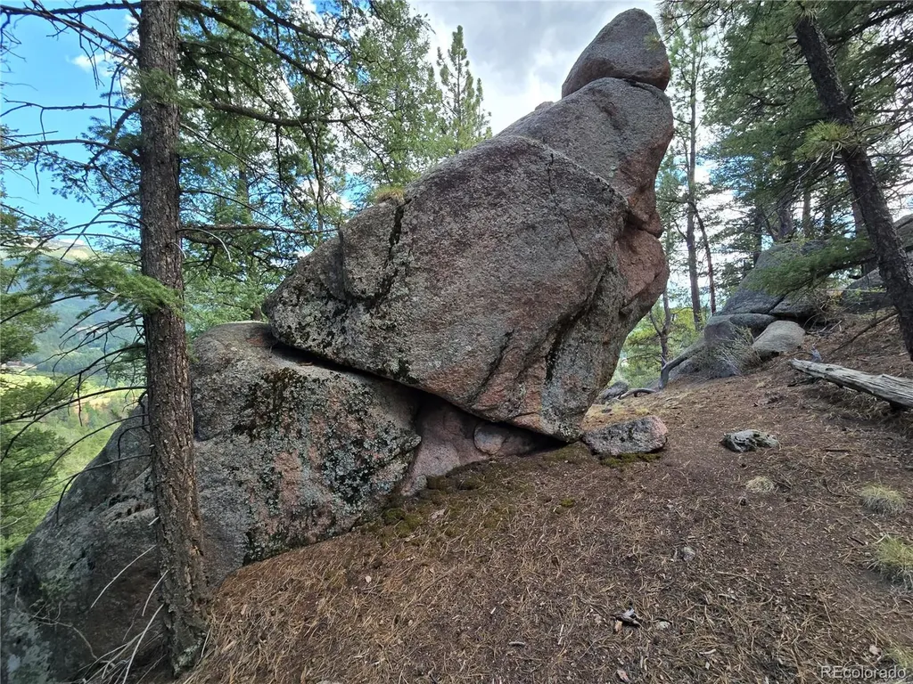 222 Blue Spruce Road Divide CO 80814