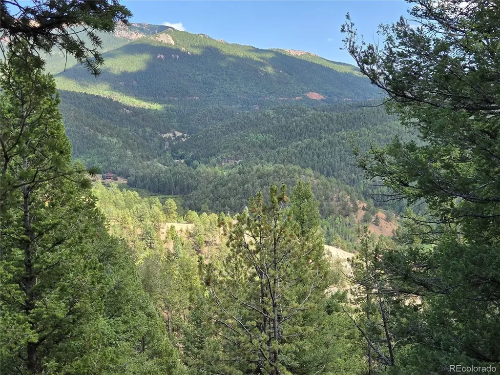 222 Blue Spruce Road Divide CO 80814