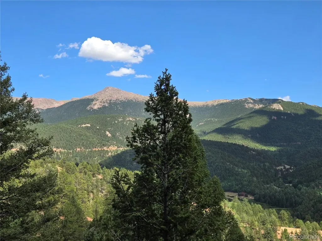 222 Blue Spruce Road Divide CO 80814