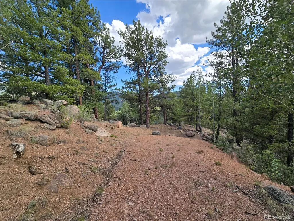 222 Blue Spruce Road Divide CO 80814