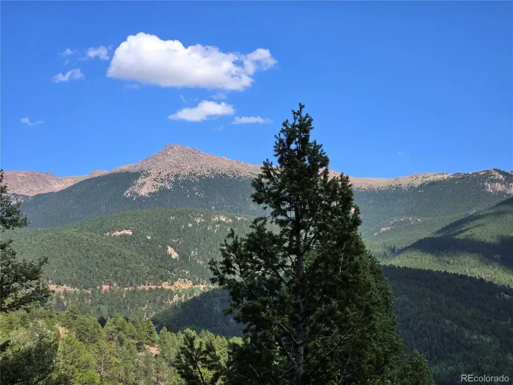 222 Blue Spruce Road Divide CO 80814