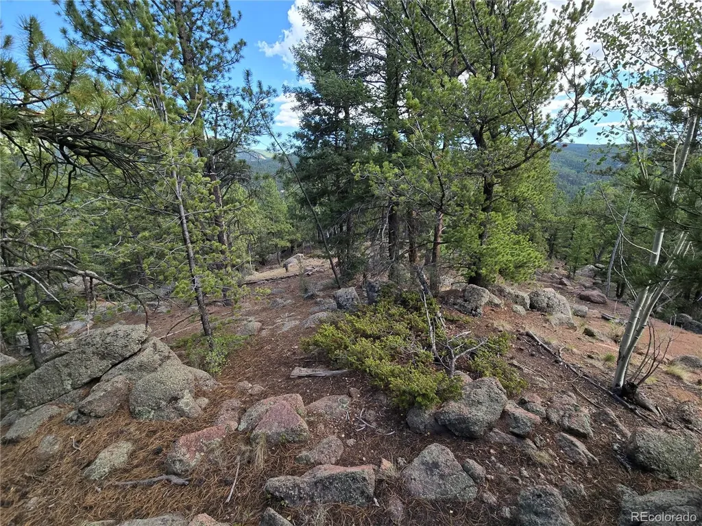 222 Blue Spruce Road Divide CO 80814
