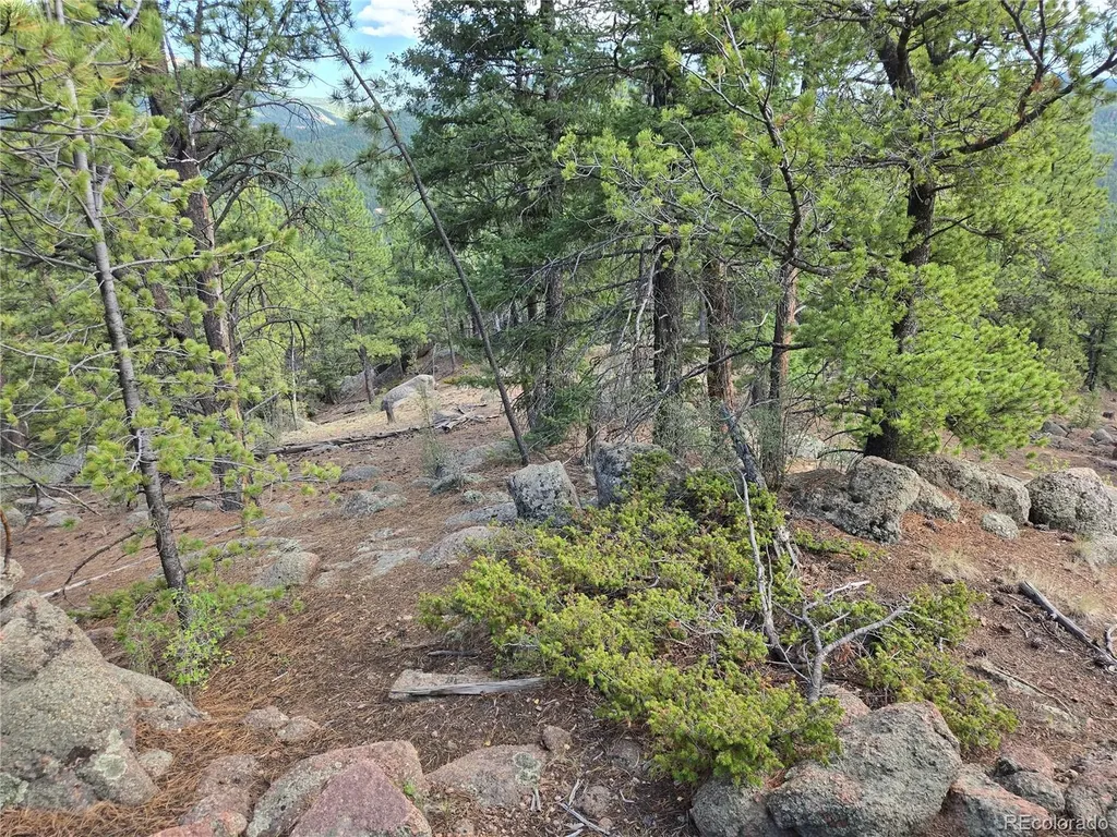 222 Blue Spruce Road Divide CO 80814