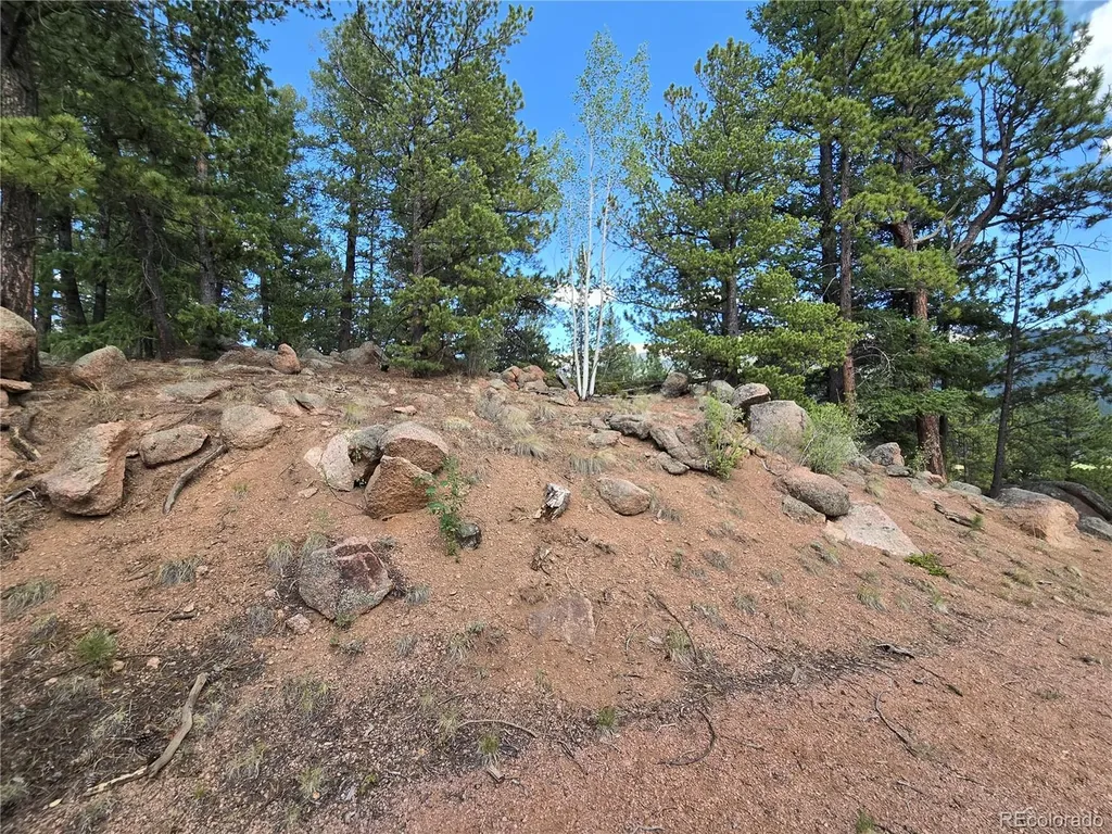 222 Blue Spruce Road Divide CO 80814