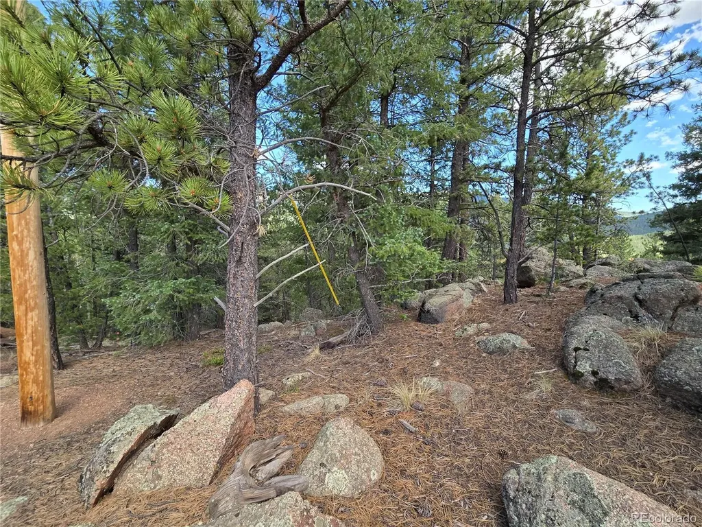 222 Blue Spruce Road Divide CO 80814