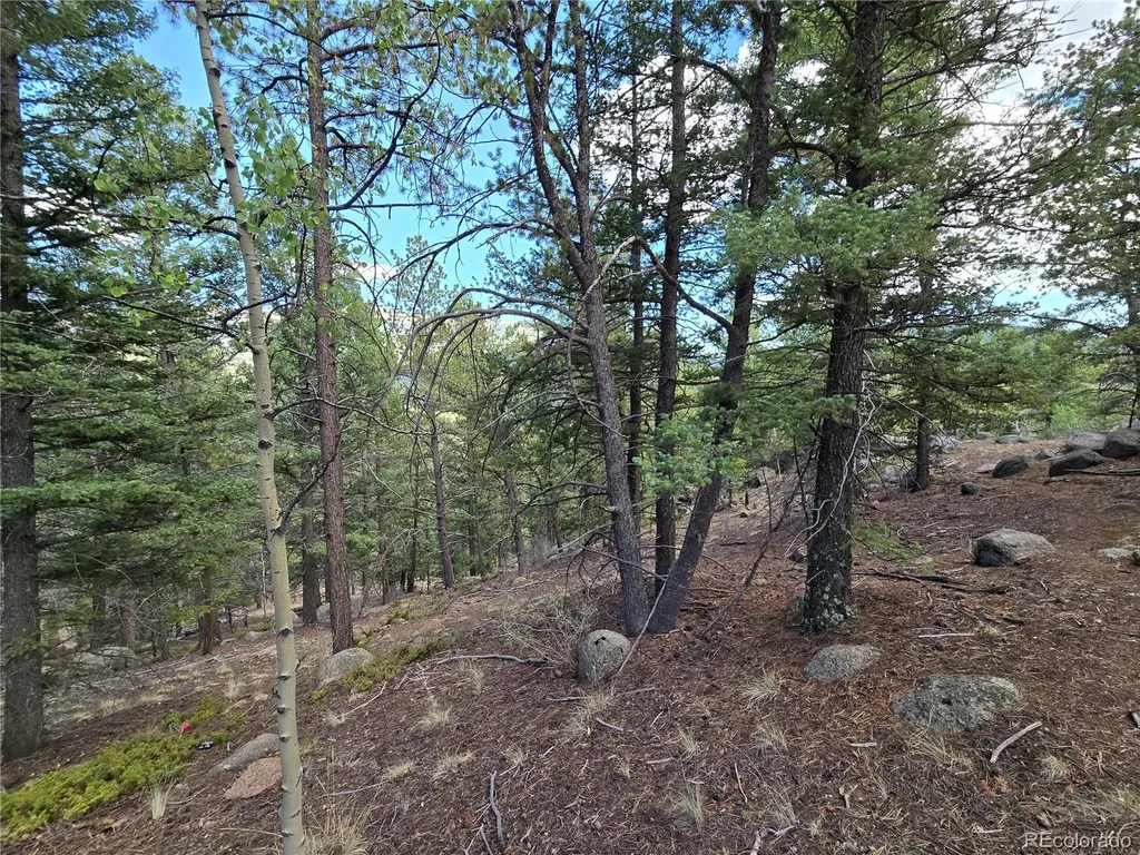 222 Blue Spruce Road Divide CO 80814