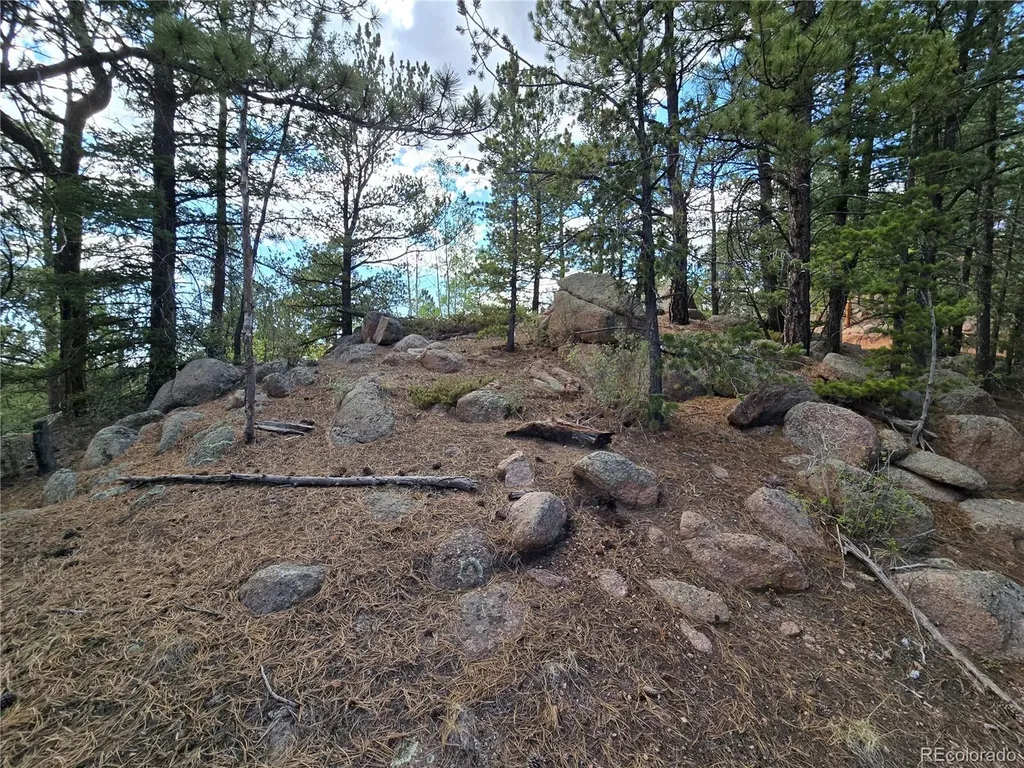 222 Blue Spruce Road Divide CO 80814