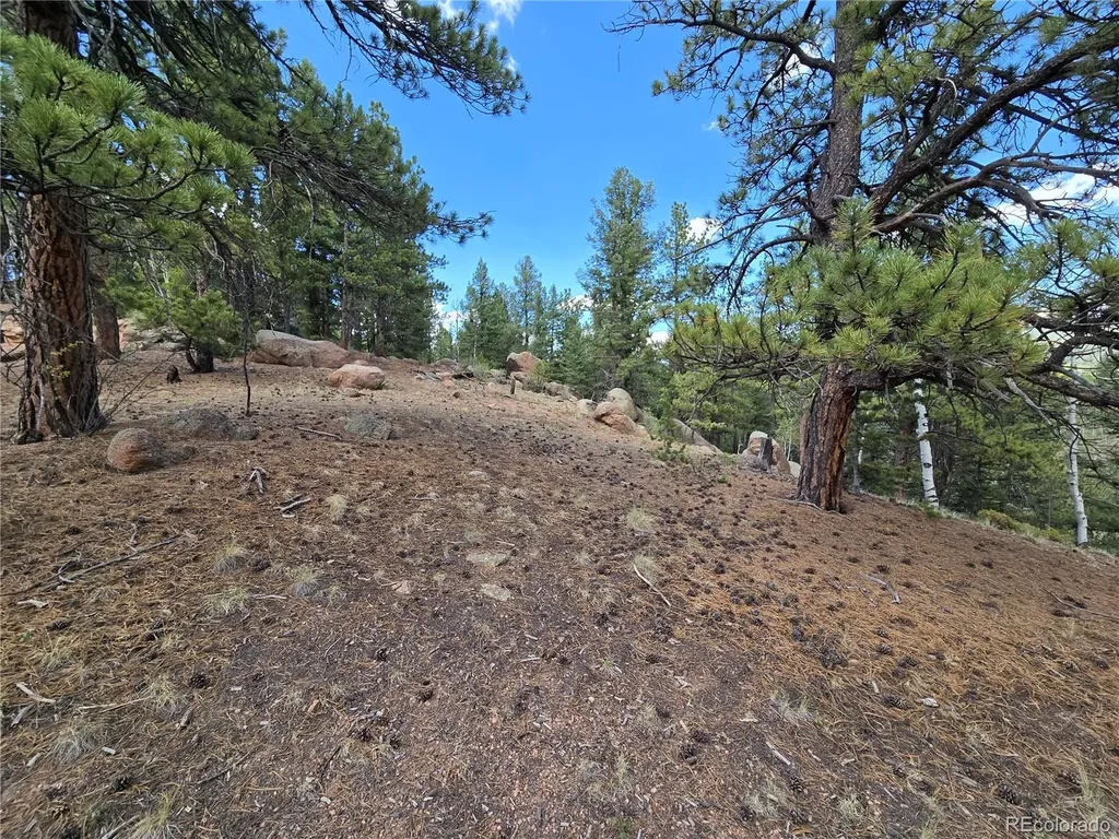 222 Blue Spruce Road Divide CO 80814