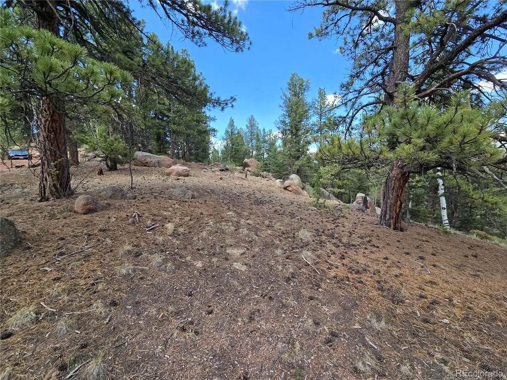 222 Blue Spruce Road Divide CO 80814