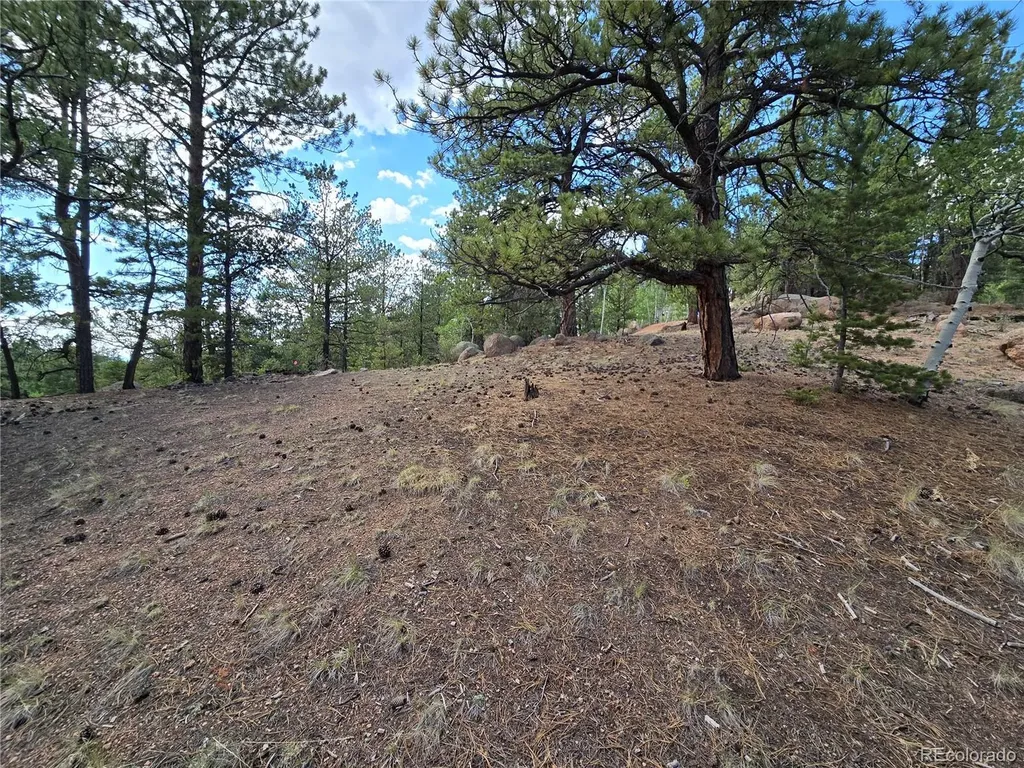 222 Blue Spruce Road Divide CO 80814