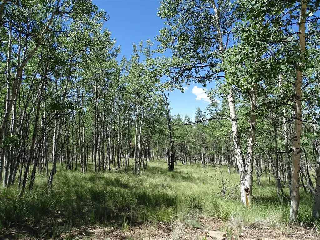 782 Bowstring Road Como CO 80432