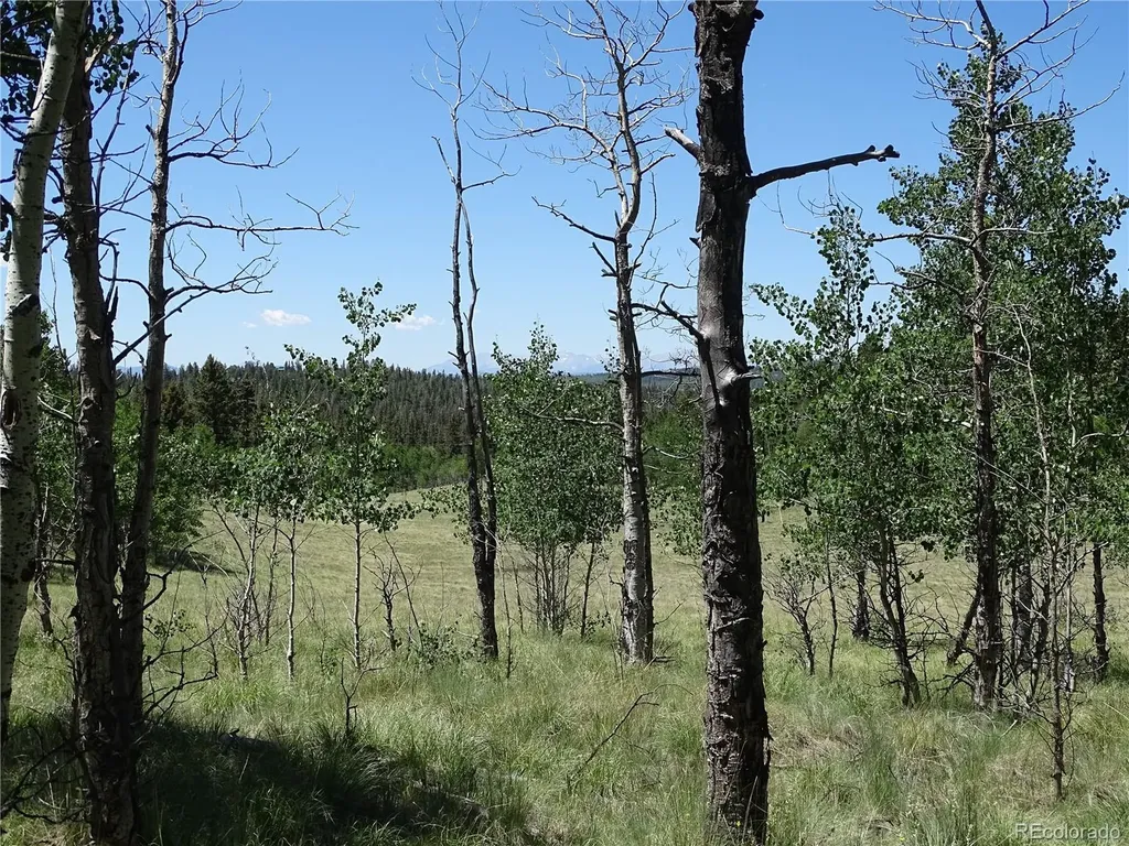 782 Bowstring Road Como CO 80432