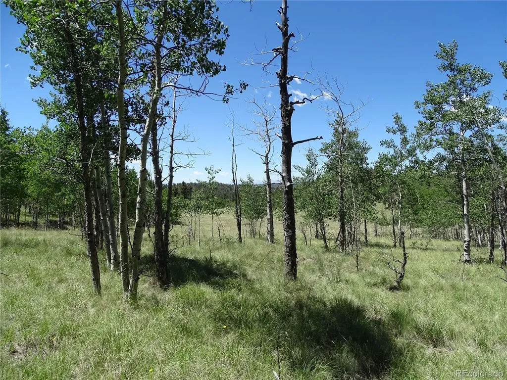 782 Bowstring Road Como CO 80432
