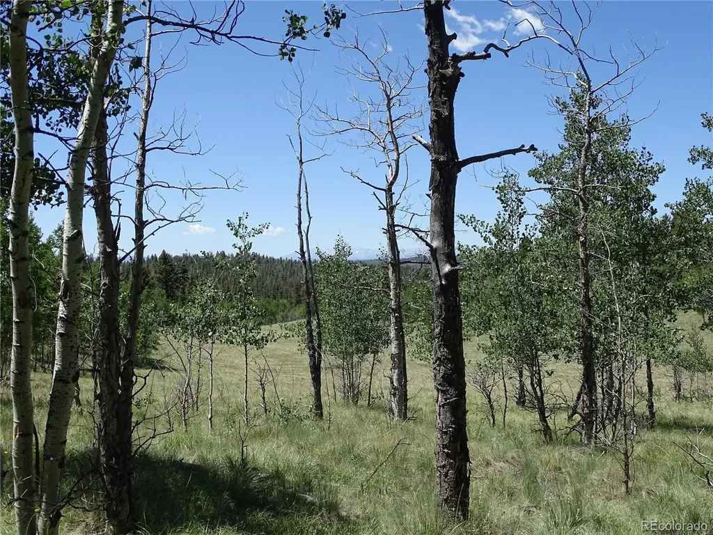 782 Bowstring Road Como CO 80432