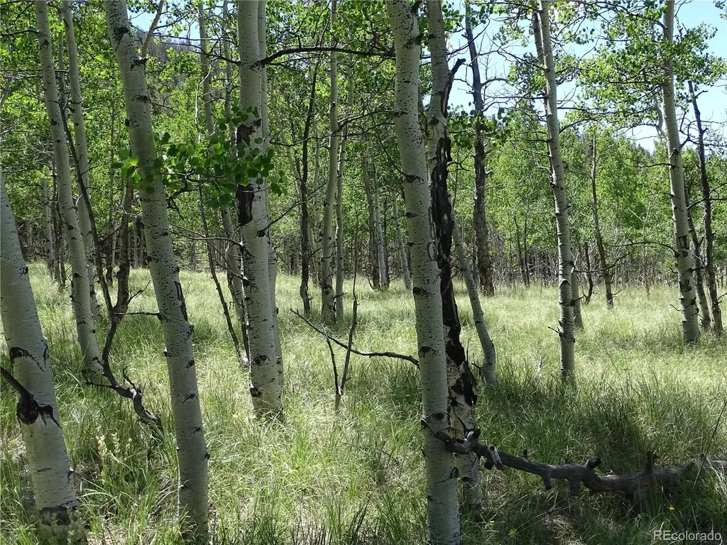 782 Bowstring Road Como CO 80432