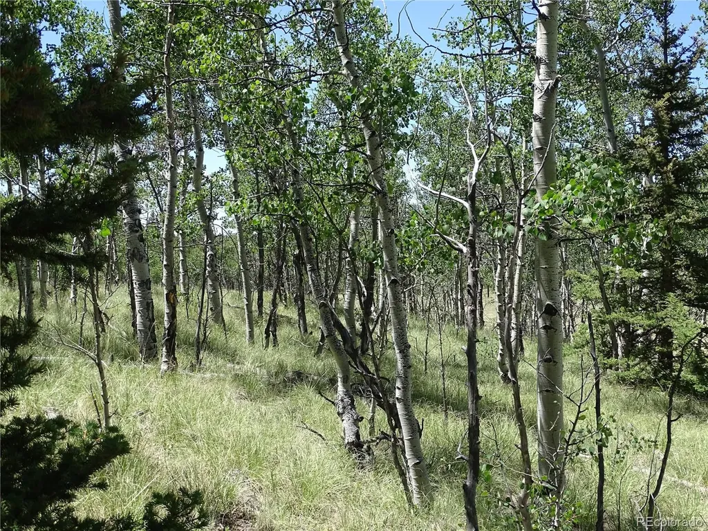 782 Bowstring Road Como CO 80432