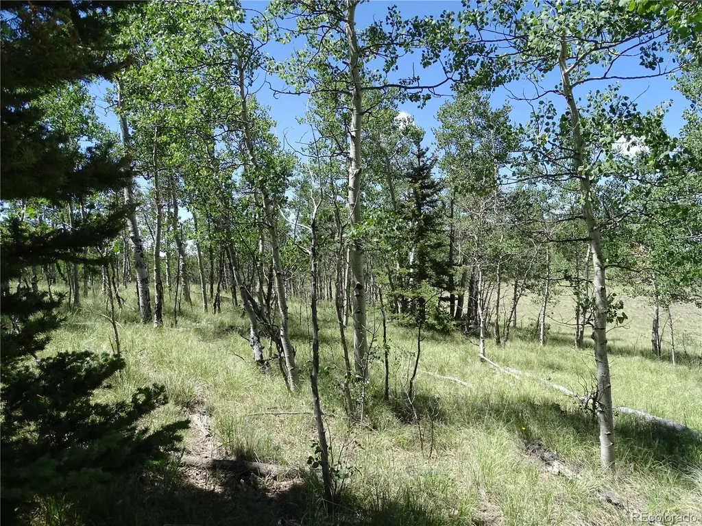 782 Bowstring Road Como CO 80432