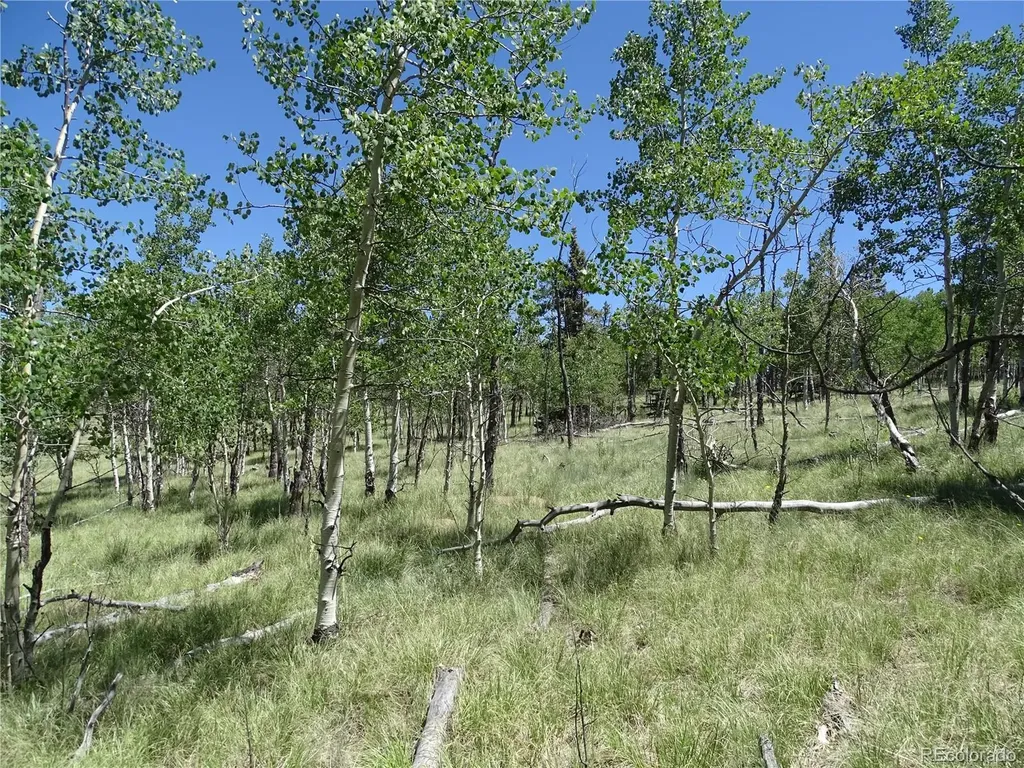 782 Bowstring Road Como CO 80432