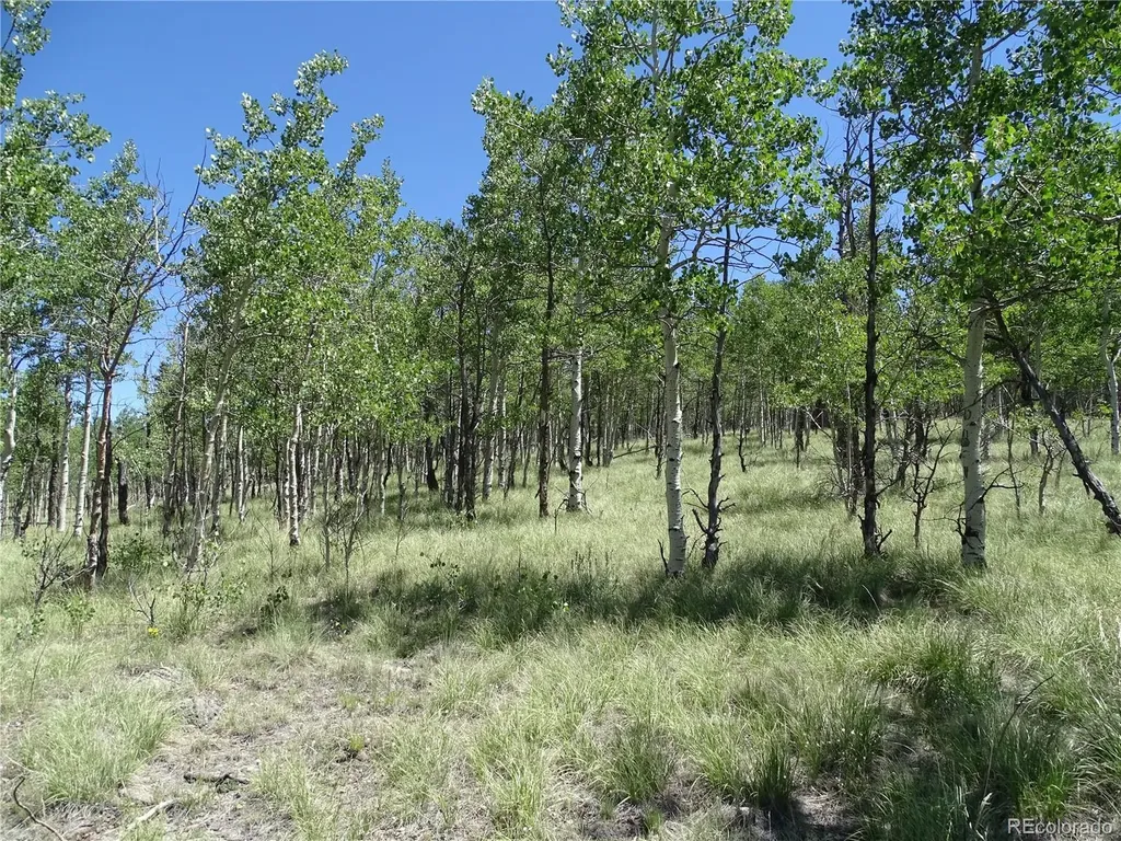 782 Bowstring Road Como CO 80432