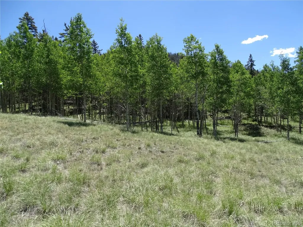 782 Bowstring Road Como CO 80432