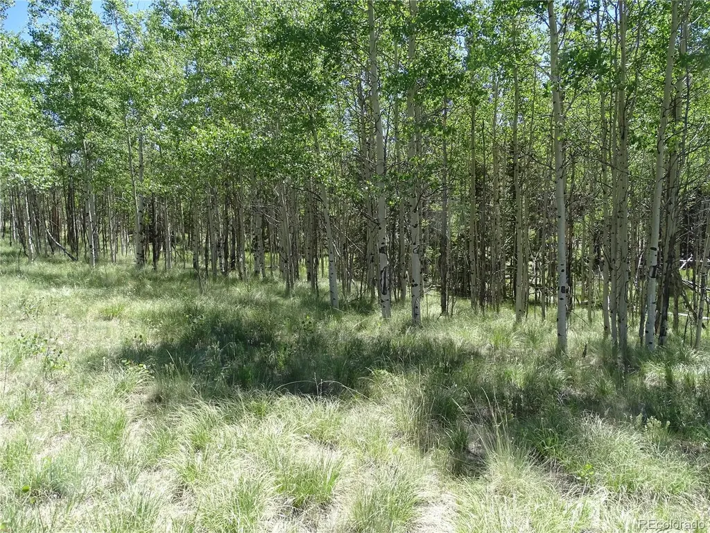 782 Bowstring Road Como CO 80432